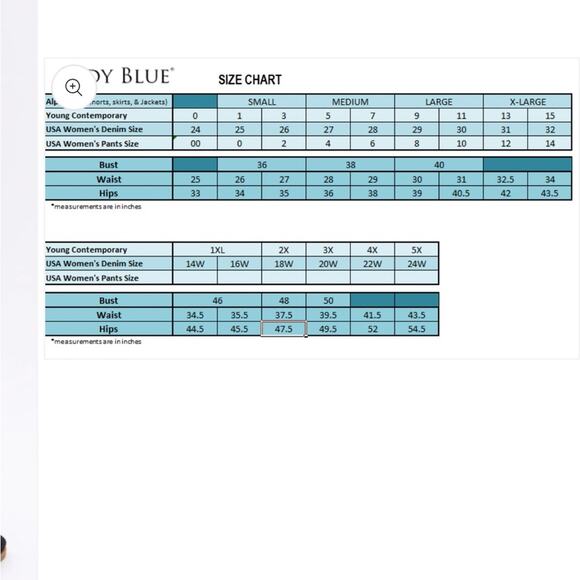 Judy Blue Shannon High-Rise Straight Leg Jeans (JB 8601) size 15/32 - Picture 15 of 16